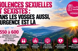 PS_Vosges_violences_WordPress_600x338