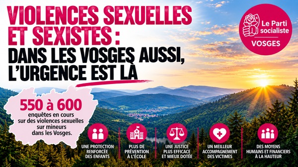 PS_Vosges_violences_WordPress_600x338