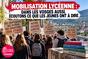 mobilisation-lyceenne-vosges-wordpress-300x200