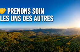 vosges