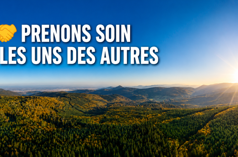 vosges