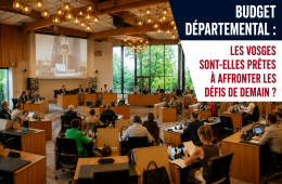 CD VOSGES 88 BUDGET